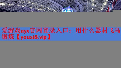 用什么器材飞鸟锻炼