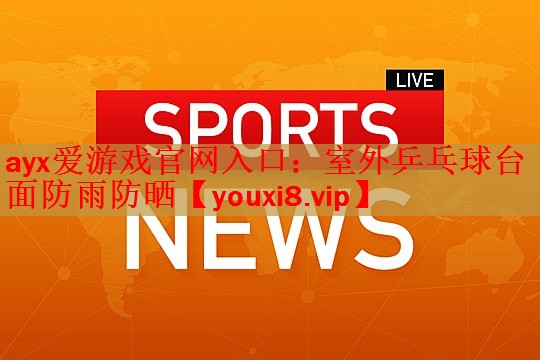 室外乒乓球台面防雨防晒